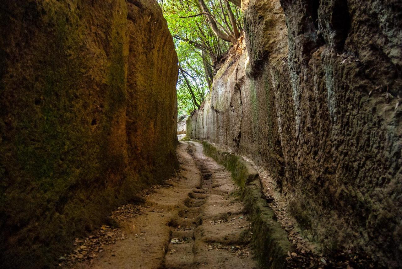 La Toscana In Casa Villa Sorano  Buitenkant foto